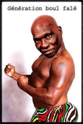 abdoulaye wade